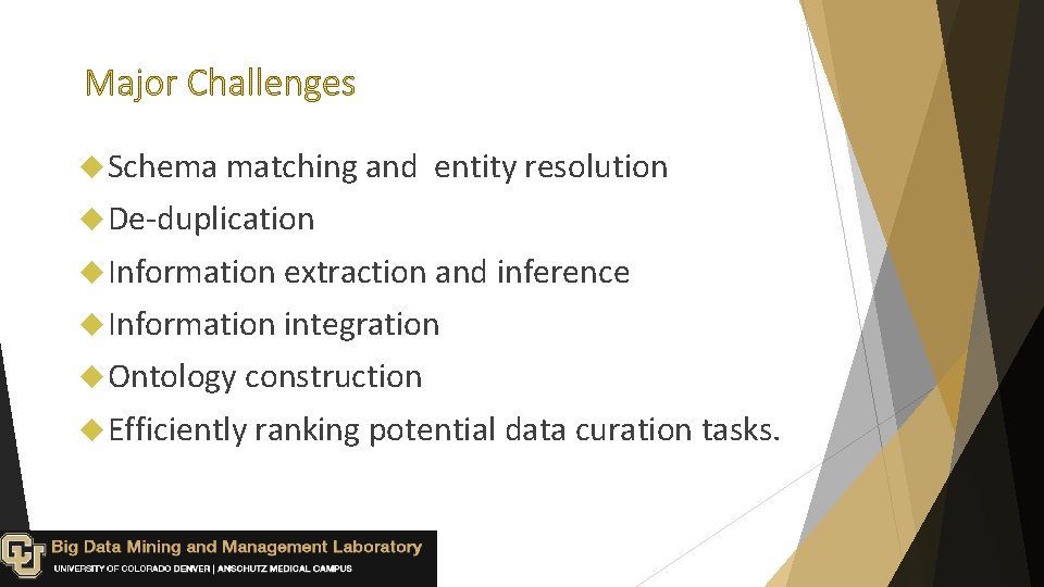  Schema matching and entity resolution De-duplication Information extraction and inference Information integration Ontology