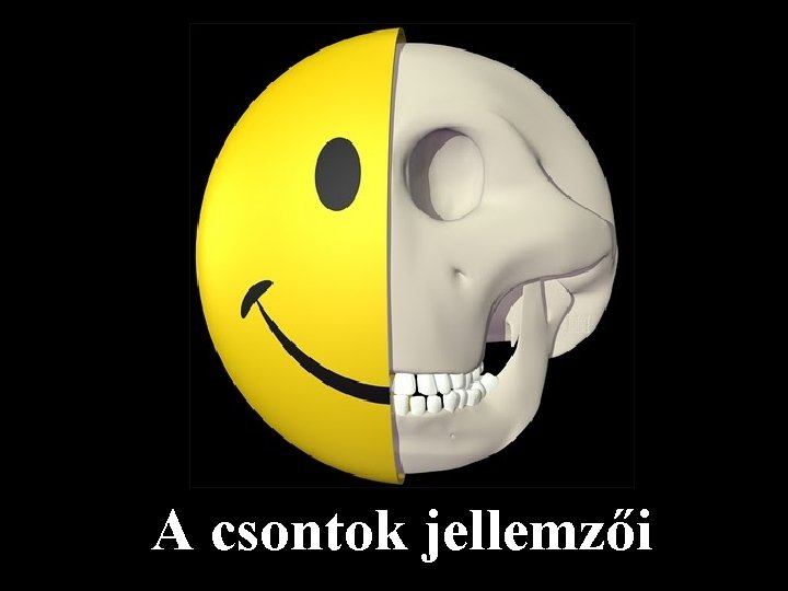 A csontok jellemzői 