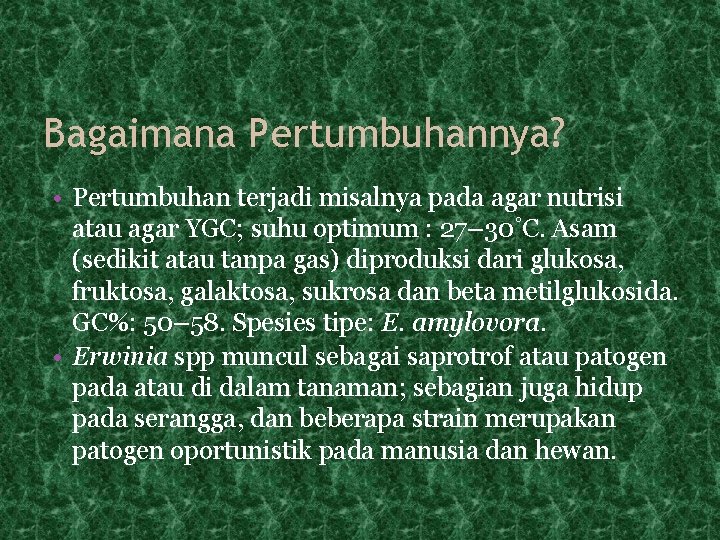 Bagaimana Pertumbuhannya? • Pertumbuhan terjadi misalnya pada agar nutrisi atau agar YGC; suhu optimum