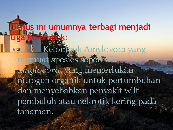 Genus ini umumnya terbagi menjadi tiga kelompok: • a. Kelompok Amylovora yang memuat spesies