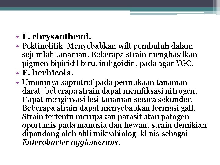  • E. chrysanthemi. • Pektinolitik. Menyebabkan wilt pembuluh dalam sejumlah tanaman. Beberapa strain