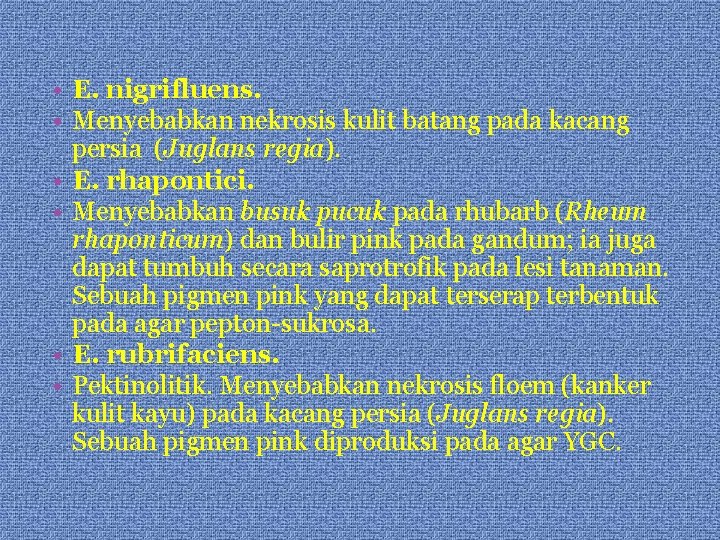  • E. nigrifluens. • Menyebabkan nekrosis kulit batang pada kacang persia (Juglans regia).