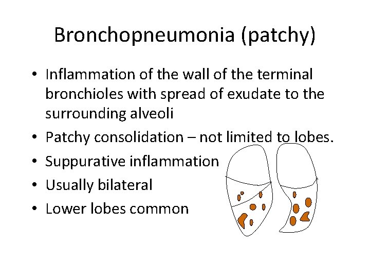 Bronchopneumonia (patchy) • Inflammation of the wall of the terminal bronchioles with spread of