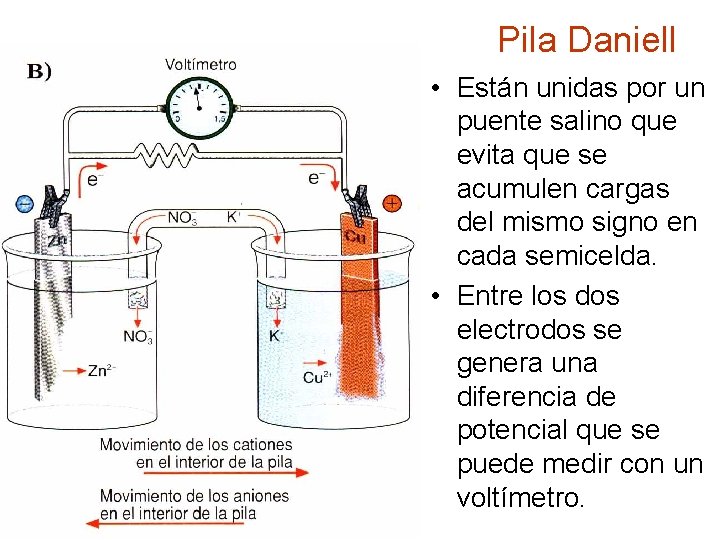 Pila Daniell • Están unidas por un puente salino que evita que se acumulen