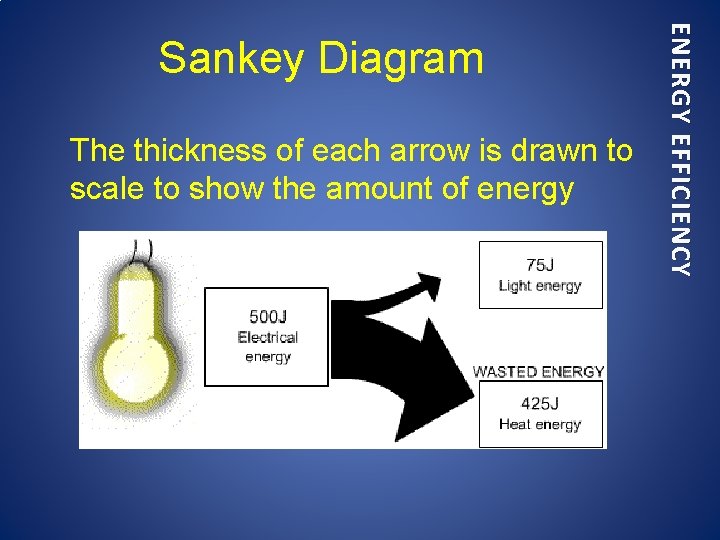 The thickness of each arrow is drawn to scale to show the amount of