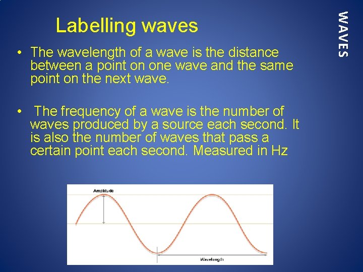  • The wavelength of a wave is the distance between a point on