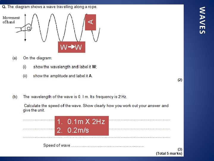  A 1. 0. 1 m X 2 Hz 2. 0. 2 m/s WAVES