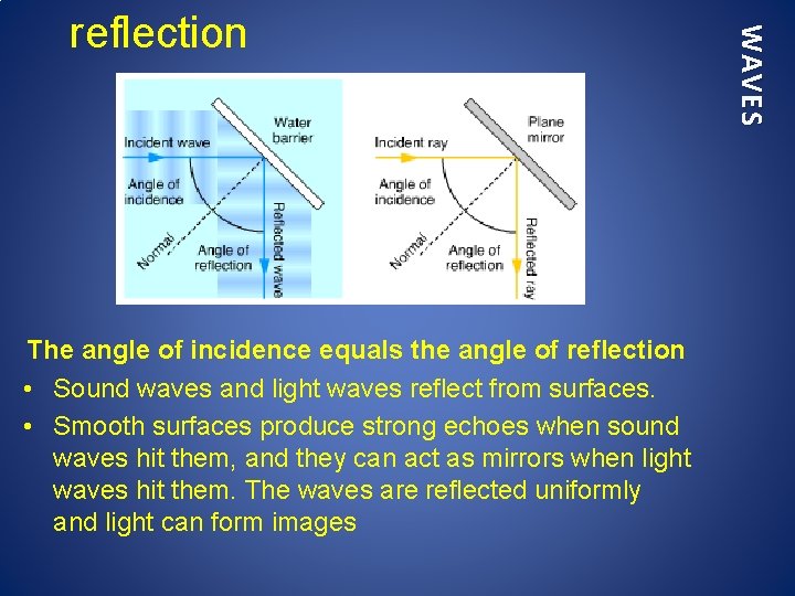 The angle of incidence equals the angle of reflection • Sound waves and light