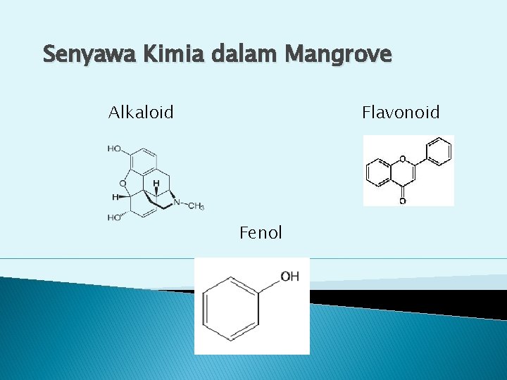Senyawa Kimia dalam Mangrove Alkaloid Flavonoid Fenol 