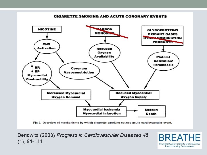Benowitz (2003) Progress in Cardiovascular Diseases 46 (1), 91 -111. 