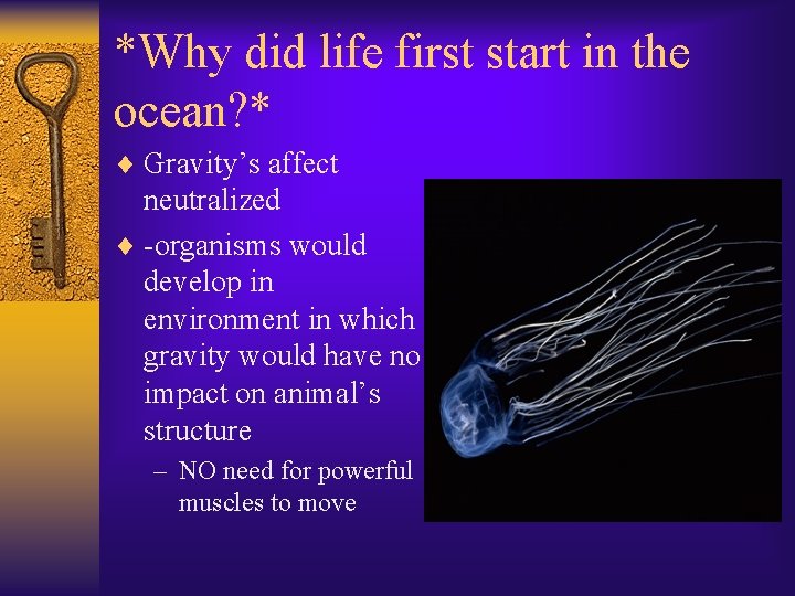 *Why did life first start in the ocean? * ¨ Gravity’s affect neutralized ¨
