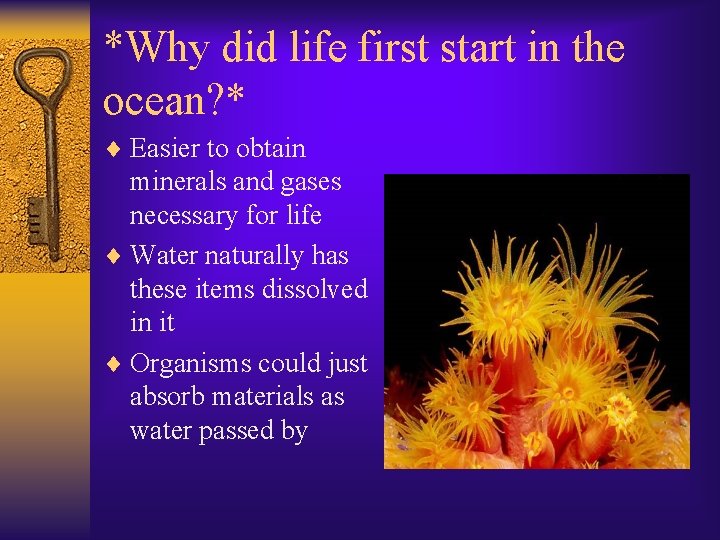 *Why did life first start in the ocean? * ¨ Easier to obtain minerals