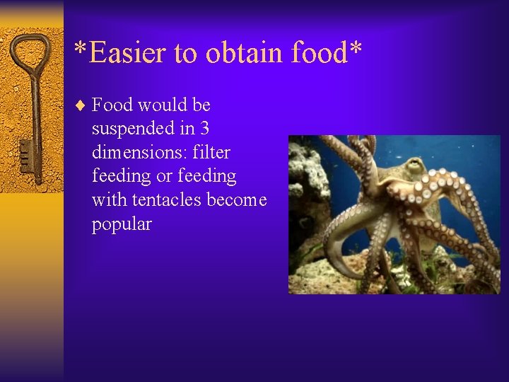 *Easier to obtain food* ¨ Food would be suspended in 3 dimensions: filter feeding