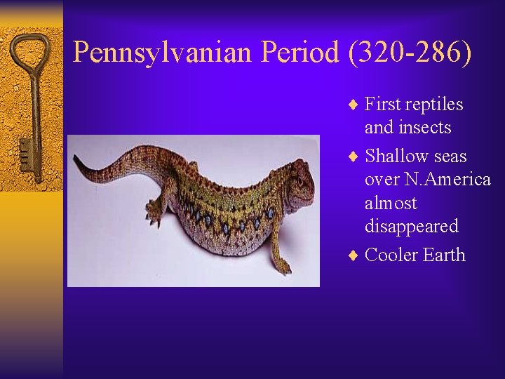 Pennsylvanian Period (320 -286) ¨ First reptiles and insects ¨ Shallow seas over N.