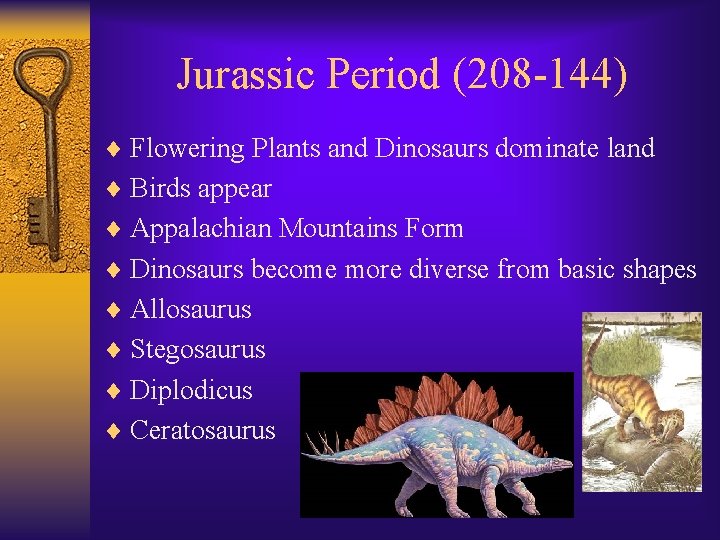 Jurassic Period (208 -144) ¨ Flowering Plants and Dinosaurs dominate land ¨ Birds appear