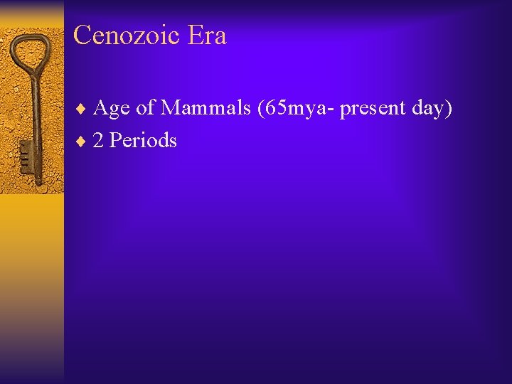 Cenozoic Era ¨ Age of Mammals (65 mya- present day) ¨ 2 Periods 