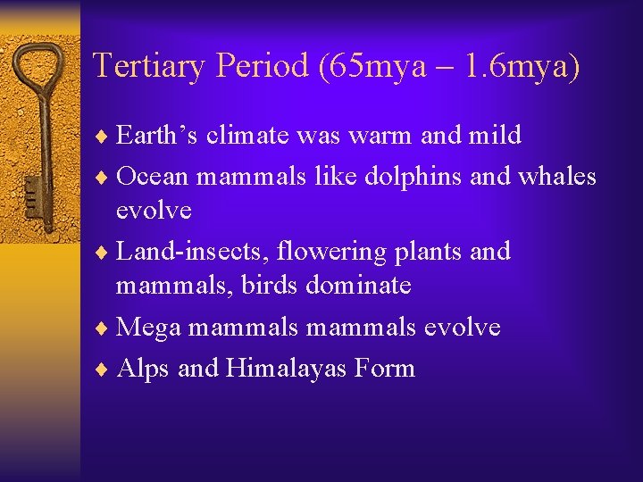 Tertiary Period (65 mya – 1. 6 mya) ¨ Earth’s climate was warm and