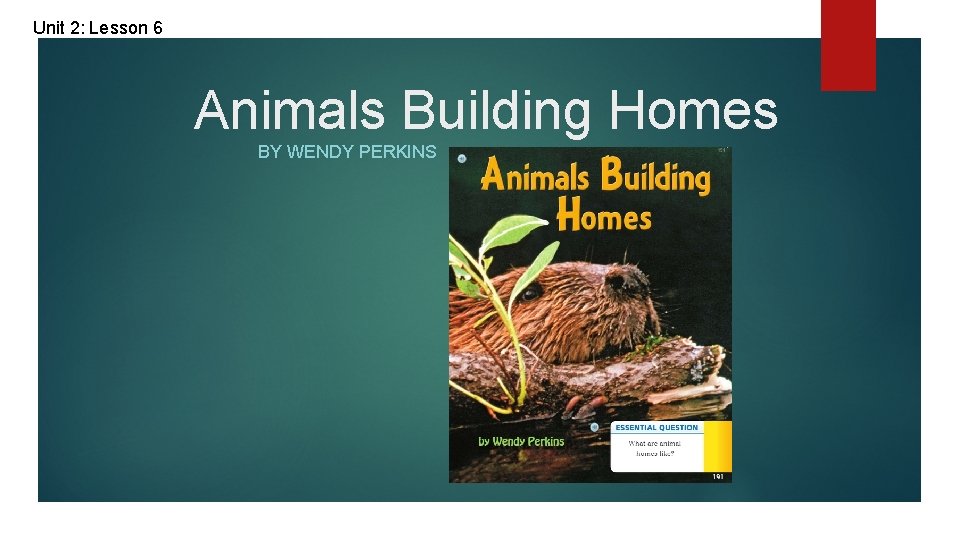 Unit 2: Lesson 6 Animals Building Homes BY WENDY PERKINS 