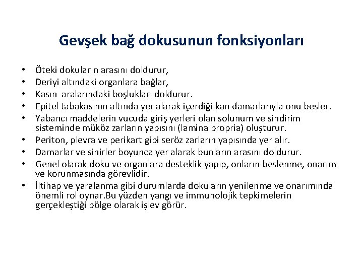 Gevşek bağ dokusunun fonksiyonları • • • Öteki dokuların arasını doldurur, Deriyi altındaki organlara