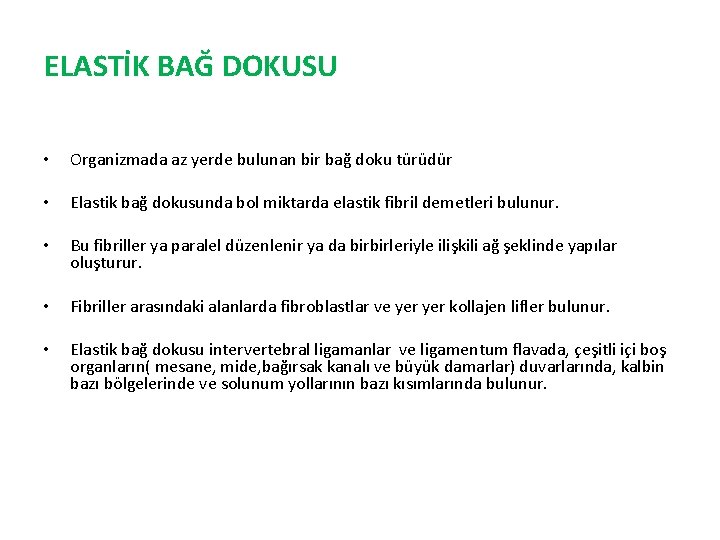 ELASTİK BAĞ DOKUSU • Organizmada az yerde bulunan bir bağ doku türüdür • Elastik