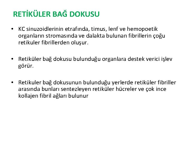 RETİKÜLER BAĞ DOKUSU • KC sinuzoidlerinin etrafında, timus, lenf ve hemopoetik organların stromasında ve