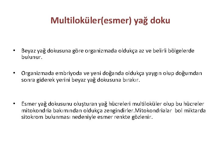 Multiloküler(esmer) yağ doku • Beyaz yağ dokusuna göre organizmada oldukça az ve belirli bölgelerde