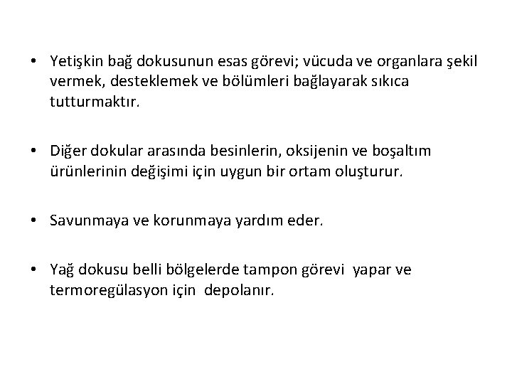  • Yetişkin bağ dokusunun esas görevi; vücuda ve organlara şekil vermek, desteklemek ve