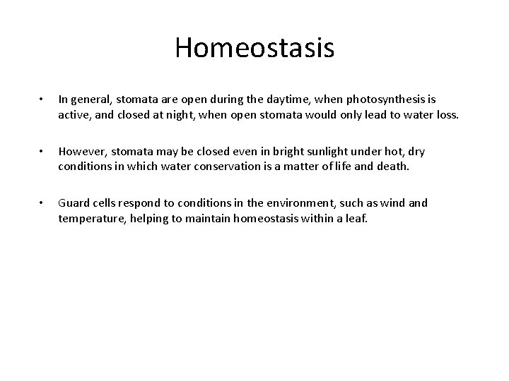 Homeostasis • • • In general, stomata are open during the daytime, when photosynthesis
