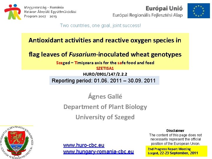 Two countries, one goal, joint success! Antioxidant activities and reactive oxygen species in flag