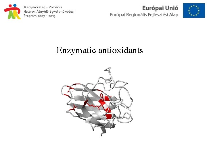 Enzymatic antioxidants 