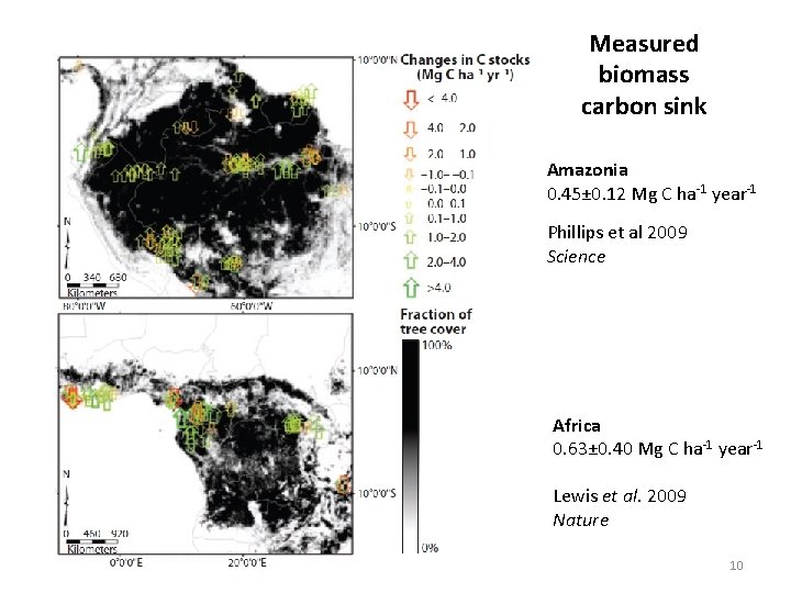 Measured biomass carbon sink Amazonia 0. 45± 0. 12 Mg C ha-1 year-1 Phillips Measured biomass carbon sink Amazonia 0. 45± 0. 12 Mg C ha-1 year-1 Phillips