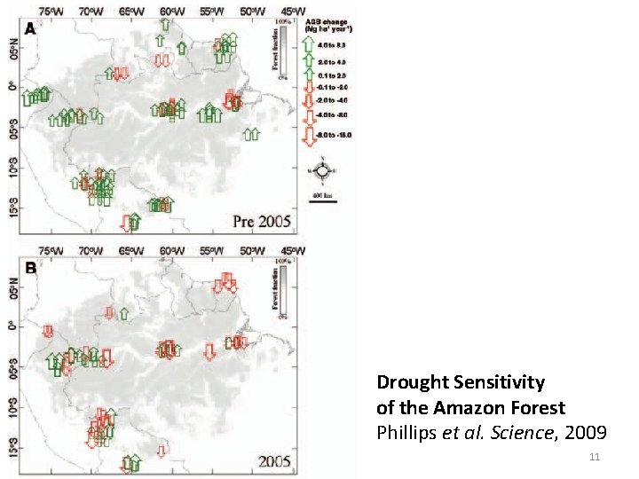Drought Sensitivity of the Amazon Forest Phillips et al. Science, 2009 11 Drought Sensitivity of the Amazon Forest Phillips et al. Science, 2009 11