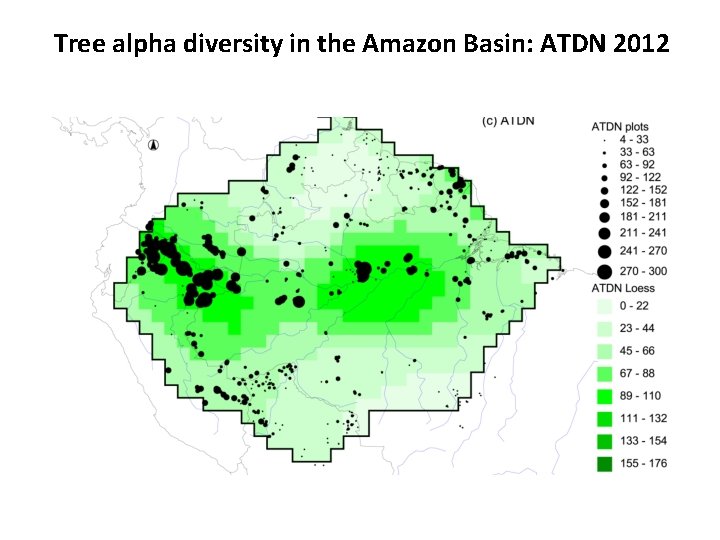 Tree alpha diversity in the Amazon Basin: ATDN 2012 Tree alpha diversity in the Amazon Basin: ATDN 2012