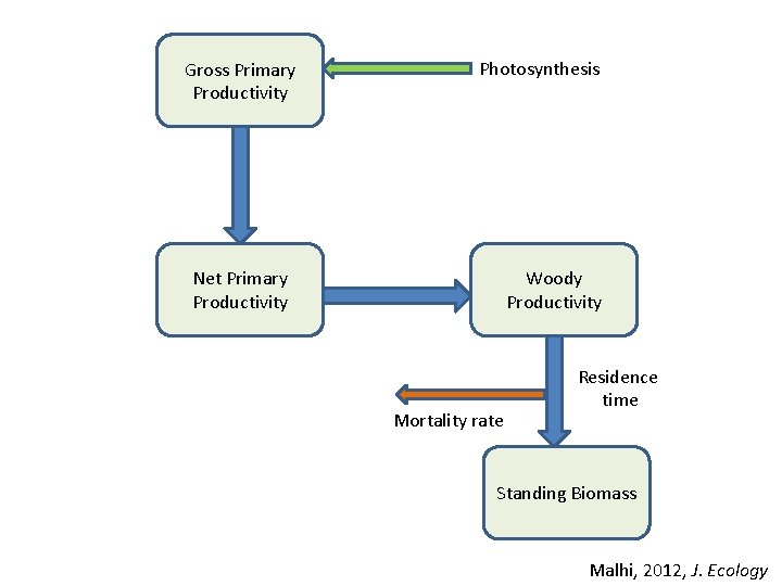 Gross Primary Productivity Photosynthesis Net Primary Productivity Woody Productivity Mortality rate Residence time Standing Gross Primary Productivity Photosynthesis Net Primary Productivity Woody Productivity Mortality rate Residence time Standing