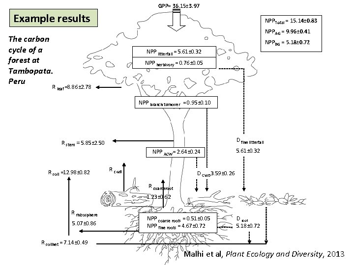 GPP= 36. 15± 3. 97 Example results NPPTotal = 15. 14± 0. 83 NPPAG GPP= 36. 15± 3. 97 Example results NPPTotal = 15. 14± 0. 83 NPPAG