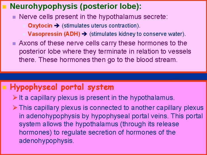 n Neurohypophysis (posterior lobe): n Nerve cells present in the hypothalamus secrete: n n
