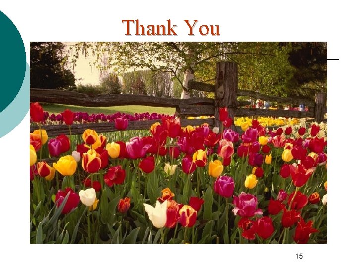 Thank You 15 