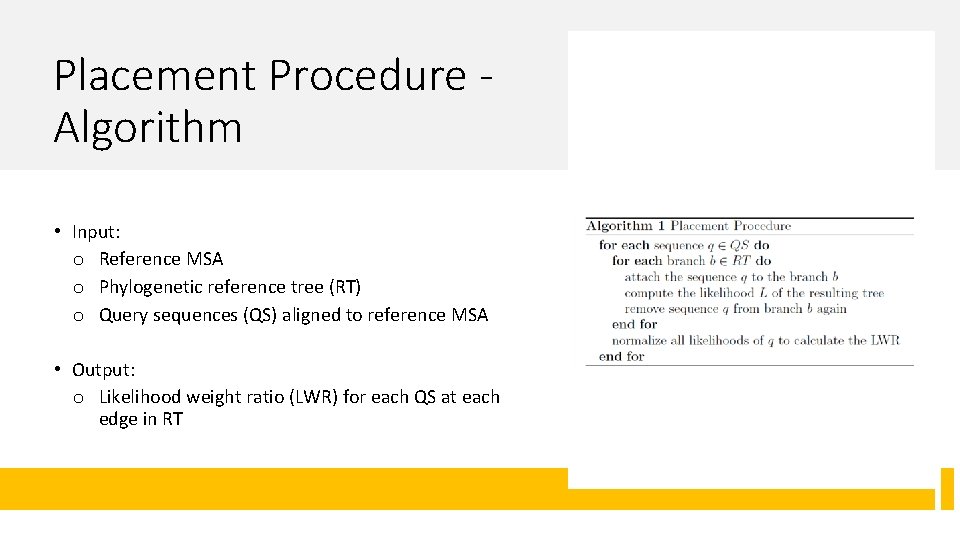 Placement Procedure Algorithm • Input: o Reference MSA o Phylogenetic reference tree (RT) o