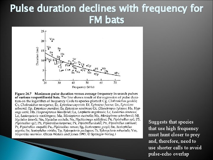 Pulse duration declines with frequency for FM bats Suggests that species that use high