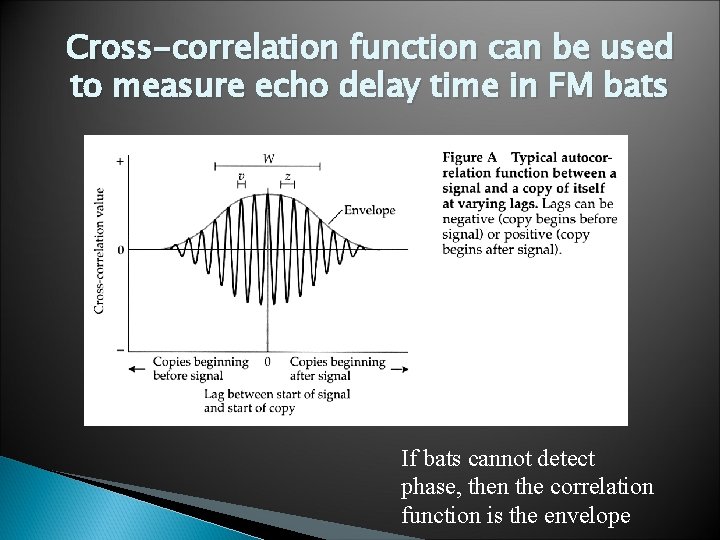 Cross-correlation function can be used to measure echo delay time in FM bats If