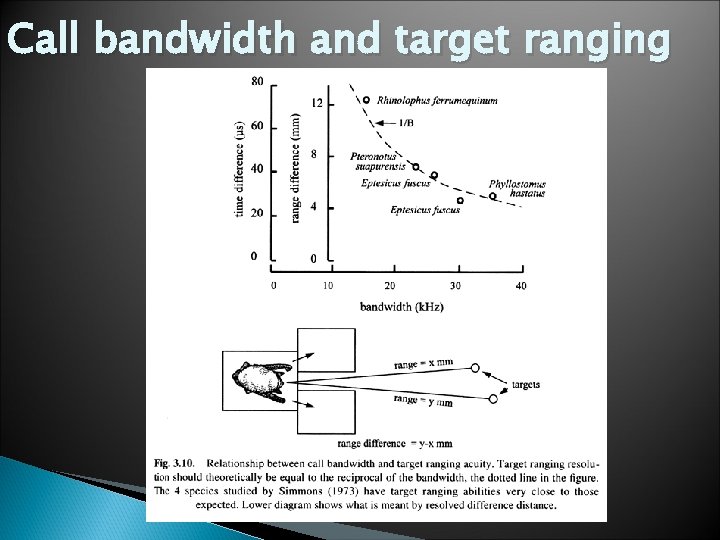 Call bandwidth and target ranging 