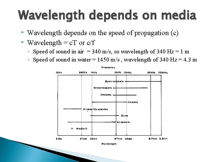Wavelength depends on media Wavelength depends on the speed of propagation (c) Wavelength =