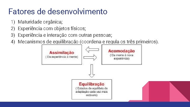 Fatores de desenvolvimento 1) 2) 3) 4) Maturidade orgânica; Experiência com objetos físicos; Experiência