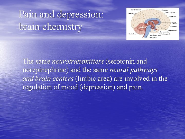 Pain and depression: brain chemistry The same neurotransmitters (serotonin and norepinephrine) and the same