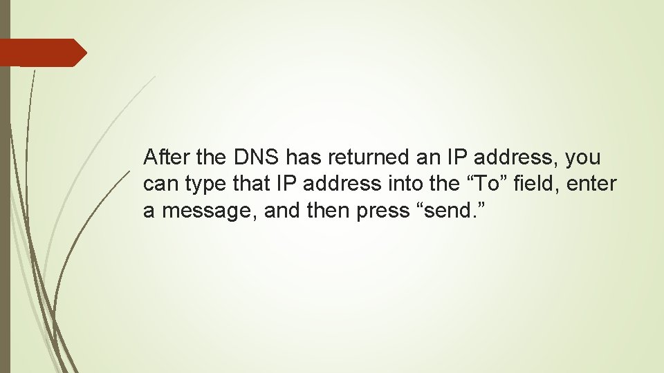 After the DNS has returned an IP address, you can type that IP address