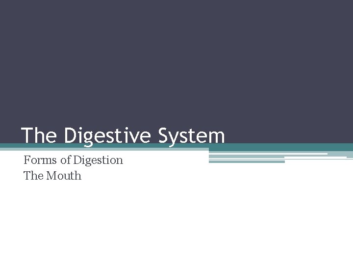 The Digestive System Forms of Digestion The Mouth 