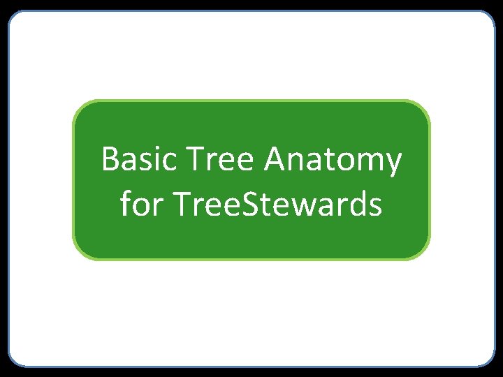 Basic Tree Anatomy for Tree. Stewards 