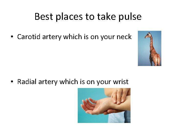 Best places to take pulse • Carotid artery which is on your neck •