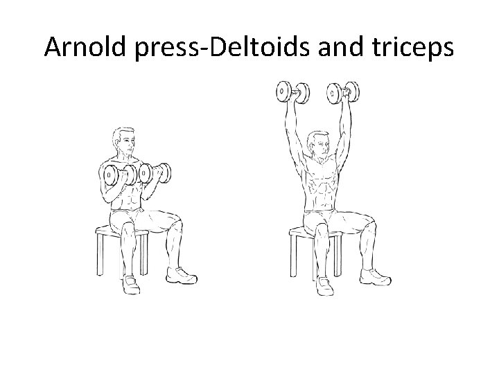 Arnold press-Deltoids and triceps 