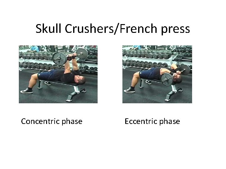 Skull Crushers/French press Concentric phase Eccentric phase 